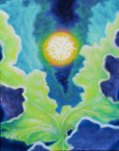 illuminated seed